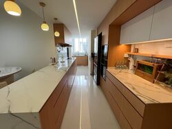 The Quartz (D19), Condominium #499842621